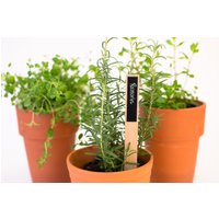 Kräuterstecker Kräuterschild Pflanzstecker Zum Beschriften Stecker Hochbeet Garten Geschenk Kräuter Kräutergarten Wiederverwendbar Eiche von klotzaufklotz