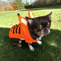 Tiger Hunde Outfit von knittingcog