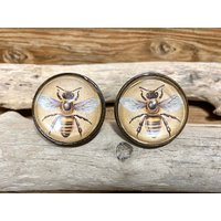 Set Von 2 - Bumble Bee Glasknopf Honigbiene Schrankknopf Schubladenknauf Metall Und Natur Dekor von knobpologie