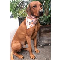 Herbst Kürbis Gewürz Bandana Und Fliege Für Hunde, Hundeschleifen, Hundehalstuch, Über Den Kragen Bandana, Herbsthunde, Herbsthunde von koasrufflife