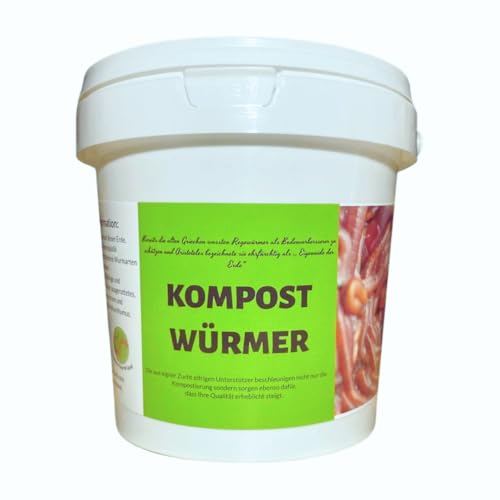 Kompostwürmer Leben | 100 Stück | Ideal für Gartenarbeit und Kompostierung Kompostwürmer Leben | 100 Stück | Ideal für Gartenarbeit und Kompostierung von kompostwurmland