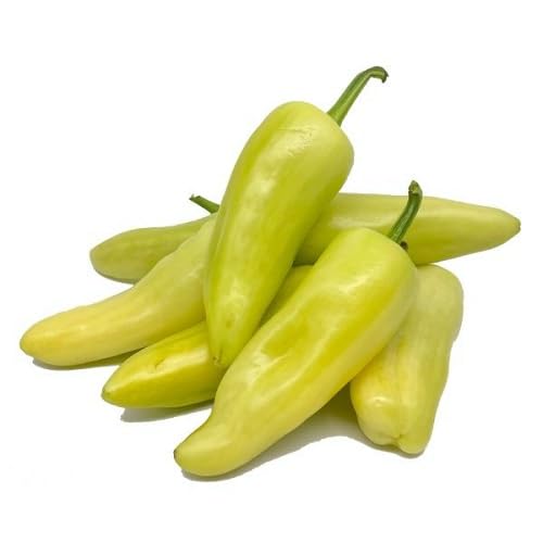 Neu Frische Chili-Pfeffer-Gemüsesamen 90 Stücke grün Neu Frische Chili-Pfeffer-Gemüsesamen 90 Stücke grün von kondracho