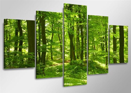 kostenfreier-Bilderversand-in-Deutschland 160 x 80 cm Bild auf Leinwand grün Wald 5507-VKF deutsche Marke und Lager - fertig gerahmt, Exklusive Markenware von Visario von kostenfreier-Bilderversand-in-Deutschland