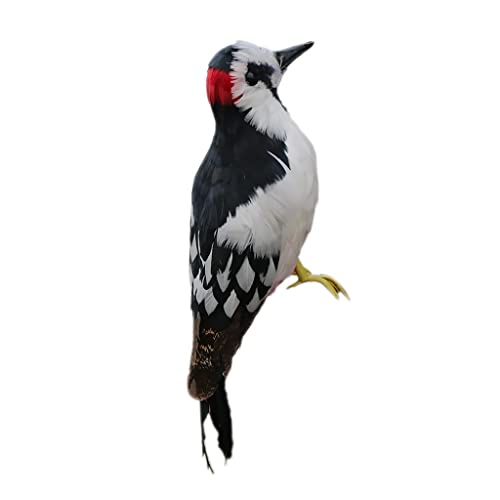 kowaku Dekofigur Spechtfigur Tierrequisite Künstlicher Vogel Gartenfigur Sehr Detailgetreue Nachbildung für Eine Täuschend Echte Optik für Hof Und Terrasse kowaku Dekofigur Spechtfigur Tierrequisite Künstlicher Vogel Gartenfigur Sehr Detailgetreue Nachbildung für Eine Täuschend Echte Optik für Hof Und Terrasse von kowaku