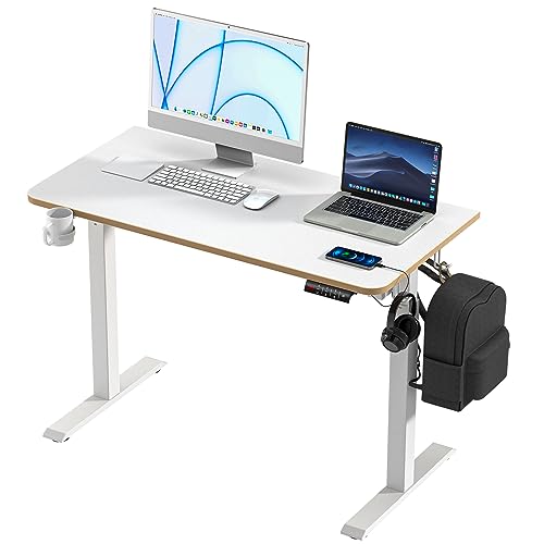 kowo Schreibtisch Höhenverstellbar Elektrisch 120 * 60cm, Ergonomisches Sitz-Stehpult, Standing Adjustable Desk mit Touchscreen und Integrierten - Weiß Ganzes Brett Stehpulte von kowo