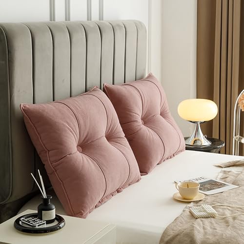 ksxnkhk 2er-Pack Keilkopfteilkissen für Einzel- und Doppelbetten – Samtrückenlehne mit abnehmbarem Bezug, ergonomisches Stützkissen, Pink, 29,5 Zoll ksxnkhk 2er-Pack Keilkopfteilkissen für Einzel- und Doppelbetten – Samtrückenlehne mit abnehmbarem Bezug, ergonomisches Stützkissen, Pink, 29,5 Zoll von ksxnkhk