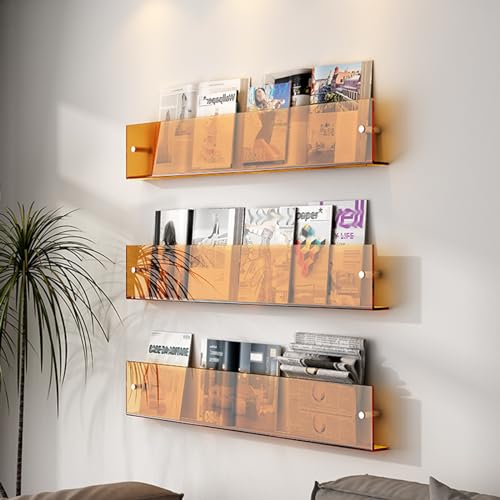 ksxnkhk 3er-Packung Zeitschriftenhalter aus Acryl, Prospektständer, Wandhalterung, Leichter Zeitungsständer für Akten, Ordner, Papier, Alben, Schallplatten-Organizer, Bücher, Lagerregal (F ksxnkhk 3er-Packung Zeitschriftenhalter aus Acryl, Prospektständer, Wandhalterung, Leichter Zeitungsständer für Akten, Ordner, Papier, Alben, Schallplatten-Organizer, Bücher, Lagerregal (F von ksxnkhk