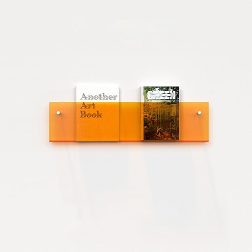 ksxnkhk Wandhalterung für Zeitschriftenhalter aus Acryl, Hängeregal für Kinderzimmer, Büro, Wohnzimmer, Broschürenständer, Aufbewahrung, Bücherregal, Schallplatten-Organizer (Farbe: Orange von ksxnkhk