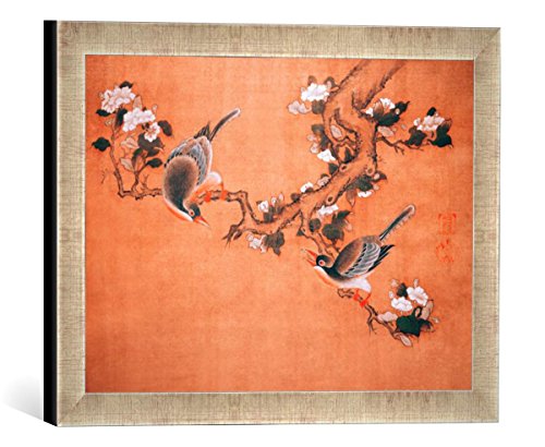 Gerahmtes Bild von 18. Jahrhundert Vögel und Blumen, Kunstdruck im hochwertigen handgefertigten Bilder-Rahmen, 40x30 cm, Silber Raya von kunst für alle