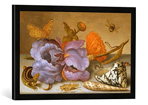 Gerahmtes Bild von Balthasar Van der AST Still Life Depicting Flowers, Shells and Insects, Kunstdruck im hochwertigen handgefertigten Bilder-Rahmen, 60x40 cm, Schwarz matt von kunst für alle