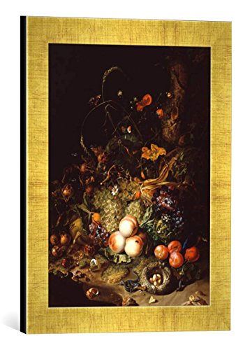 Gerahmtes Bild von Rachel Ruysch Stilleben mit Blumen, Früchten und Insekten, Kunstdruck im hochwertigen handgefertigten Bilder-Rahmen, 30x40 cm, Gold Raya von kunst für alle