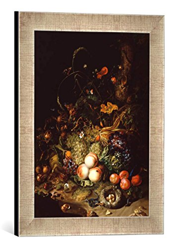 Gerahmtes Bild von Rachel Ruysch Stilleben mit Blumen, Früchten und Insekten, Kunstdruck im hochwertigen handgefertigten Bilder-Rahmen, 30x40 cm, Silber Raya von kunst für alle