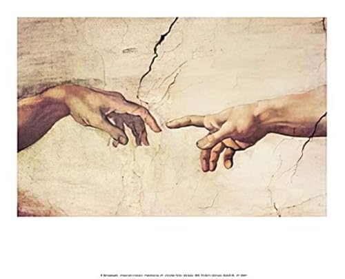 Kunstdruck/Poster: Michelangelo Buonarroti Adams Schöpfung - hochwertiger Druck, Bild, Kunstposter, 30x24 cm von kunst für alle