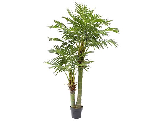 kunstpflanzen-discount.com Areca Kunstpalme 170cm hoch mit 33 Palmwedel im Zementtopf - Künstliche Areca Palme mit 2 Palmkronen und Stämmen von kunstpflanzen-discount.com
