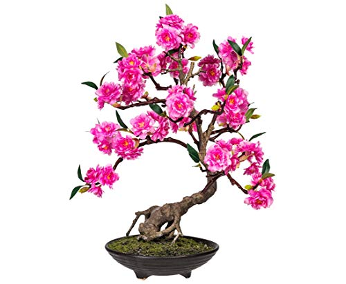 Blühender Bonsai Kunstbaum 50cm hoch in dekorativer Schale mit Kunstmoos - Künstlicher Bonsaibaum mit rosa Blüten und grünen Blättern von kunstpflanzen-discount.com