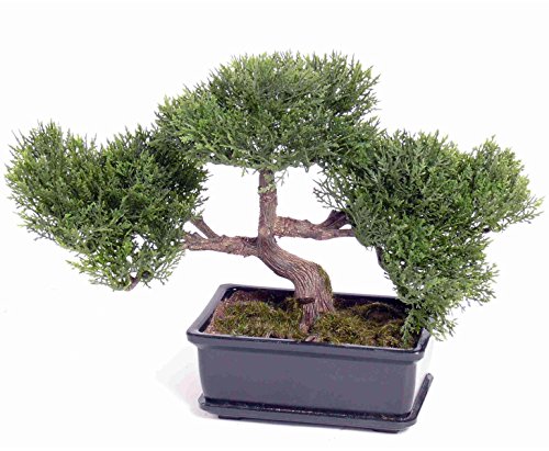 Kunst Bonsai Zeder 23cm hoch mit ca.113 Blätter und bemooster Schale - Künstlicher Bonsaibaum Zeder Bonsaipflanze wie echt von kunstpflanzen-discount.com