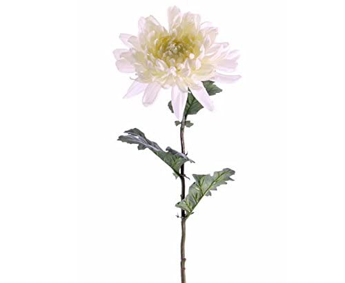 kunstpflanzen-discount.com Künstliche Chrysantheme Seidenblume gelblich weiß 75cm mit langem Stiel und grünen Blättern von kunstpflanzen-discount.com