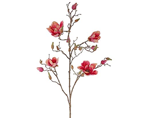 kunstpflanzen-discount.com Deko Zweig Magnolien 107cm hoch mit 4 Magenta-rötlichen Blüten - Künstlicher Magnolienzweig Magnolienast blühend von kunstpflanzen-discount.com