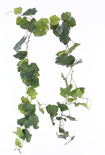 Edle Traubenblatt Girlande ca. 186cm uv-beständig mit 54 Blättern in Mehreren Grüntönen - Dekorationspflanzen für Weinfeste und Restaurants von kunstpflanzen-discount.com
