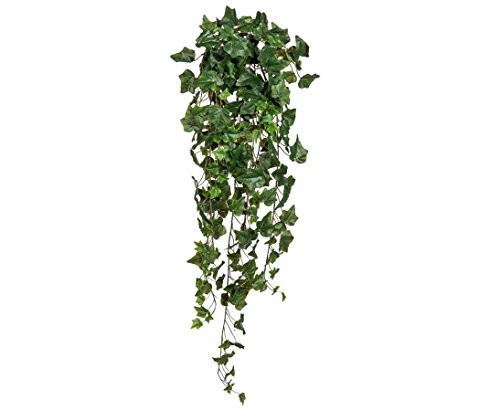 Efeubusch Hedera Kunstpflanze 98cm lang mit 244 Blätter aus Textilfaser - Künstlicher Gemeiner Efeu Deko Busch von kunstpflanzen-discount.com