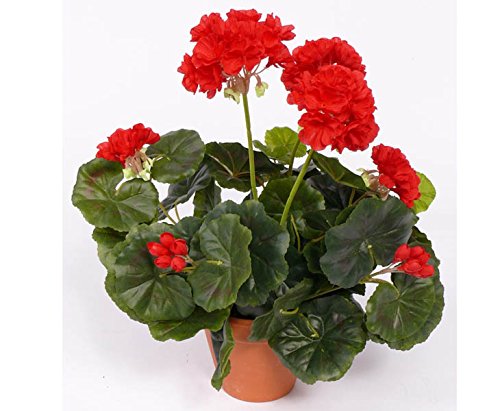 Geranien Kunstblumen rot mit Blätter, Höhe ca. 30cm – Künstliche Pelargonien Kunstgeranien Dekogeranien zum Stecken von kunstpflanzen-discount.com