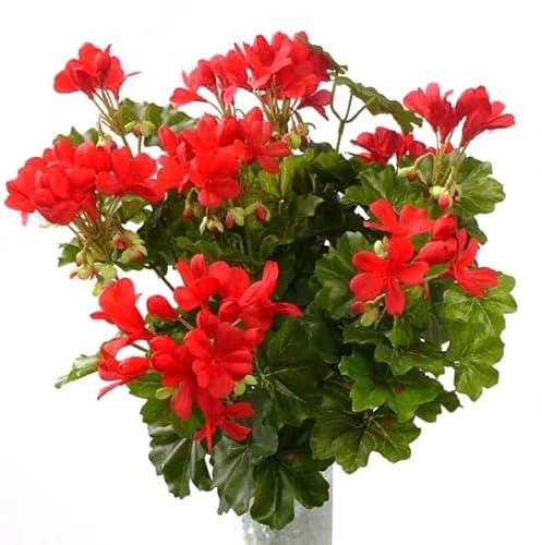 kunstpflanzen-discount.com Geranien Kunstblume mit 116 rote Blüten ca. 40cm Höhe & Durchmesser - Künstliche Pelargonien Blumen zum Stecken von kunstpflanzen-discount.com