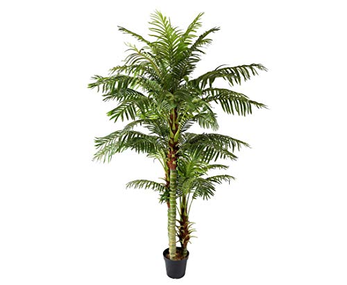 Große künstliche Arekapalme Hawaii 235cm hoch - Kunstpalme Areca Goldfruchtpalme mit 45 Palmwedel und 3 Stämme von kunstpflanzen-discount.com