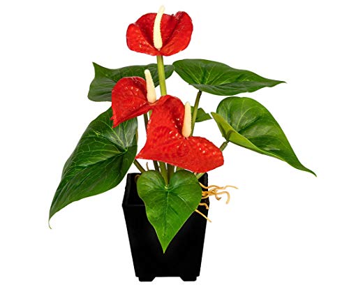 Künstliche Flamingoblume Anthurie 20cm hoch mit roten Blüten im Topf - Kunstblume Anthurium Kunstpflanze rot blühend von kunstpflanzen-discount.com