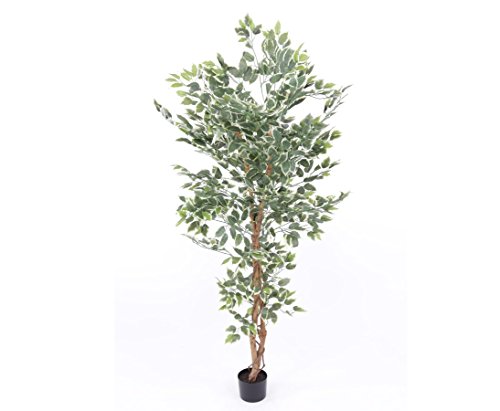 Künstlicher Ficus Benjamini 180cm hoch mit 1008 grün-weiße Textil-Blätter und Echtholzstamm im Topf von kunstpflanzen-discount.com