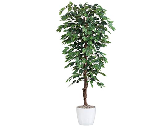 Künstlicher Ficusbaum Benjamini mit Echtholzstamm 180cm hoch - Großer Ficus Kunstbaum mit Naturstamm 1,8m von kunstpflanzen-discount.com