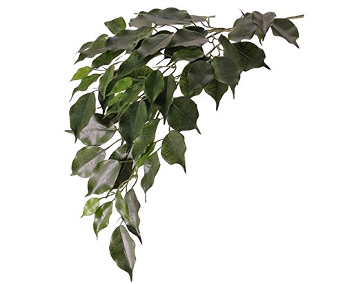 Künstlicher Ficuszweig mit 61 Blätter 77cm lang, schwer entflammbar - Ficus Dekozweig Birkenfeige Benjamini Blätterzweig von kunstpflanzen-discount.com