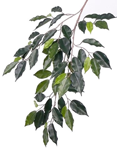 Künstlicher Ficuszweig mit 61 Blätter 77cm lang schwer entflammbar - Ficus Dekozweig Kunstzweig mit Ficusblätter von kunstpflanzen-discount.com