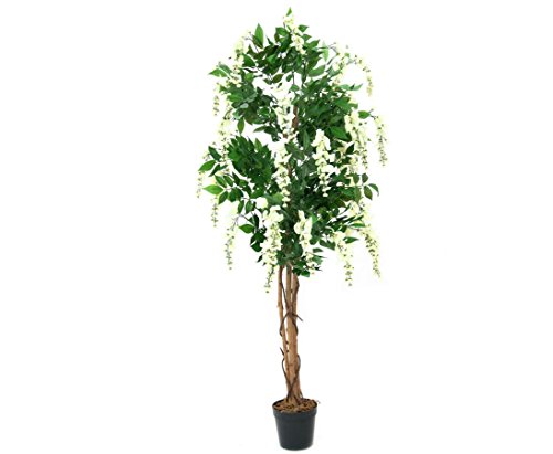 Künstlicher Goldregenbaum 150cm mit weißen Blüten und gedrehten Naturstämmen im Zementtopf - Blühender Goldregen Kunstbaum von kunstpflanzen-discount.com