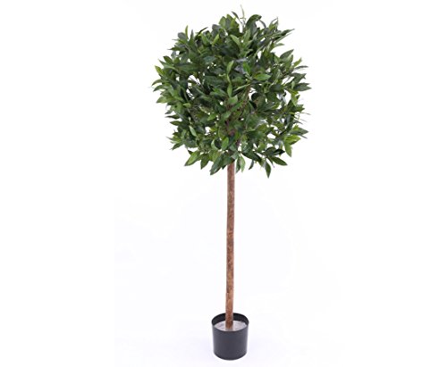 Künstlicher Lorbeerbaum Lorbeer Kugel auf Echtholzstamm 140cm hoch mit schwer entflammbarer Blattkrone mit ca. 60cm Durchmesser im Topf von kunstpflanzen-discount.com