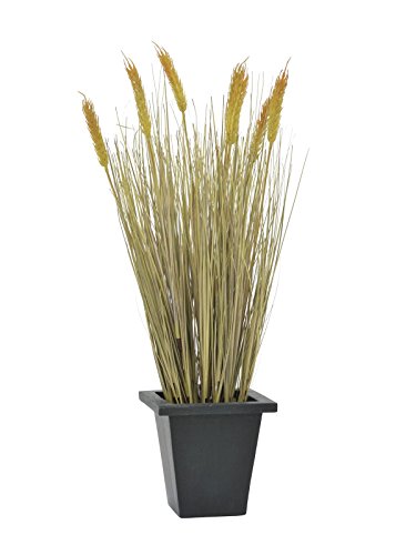 Künstlicher Weizen erntereif 60cm im Topf - Weizenpflanze mit Ähren ideal für herbstliche Dekoration von kunstpflanzen-discount.com