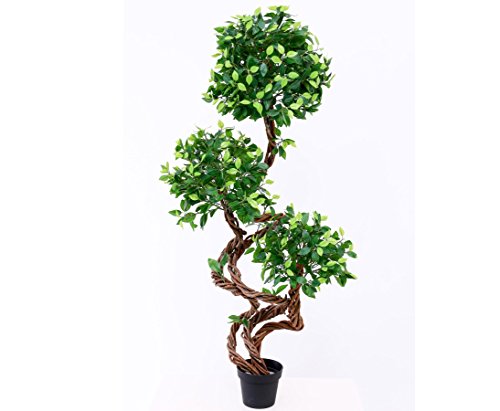 Kunstbaum Ficus mit Echtholz Spiralstamm 160cm hoch - Künstlicher Ficusbaum mit gedrehtem Naturstamm von kunstpflanzen-discount.com