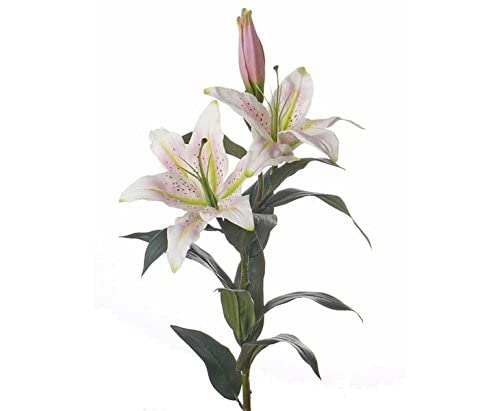kunstpflanzen-discount.com Kunstblume Lilie „Gefühlsecht“ künstliche Lilie weiß-rosa, Länge 95cm - Lilienblume blühend mit Latex Überzug von kunstpflanzen-discount.com