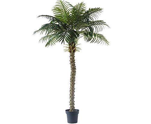 Kunstpalme Kokos 160cm hoch mit 18 Palmwedel und Palmfaser - Künstliche Kokospalme Dekopalme im Topf von kunstpflanzen-discount.com