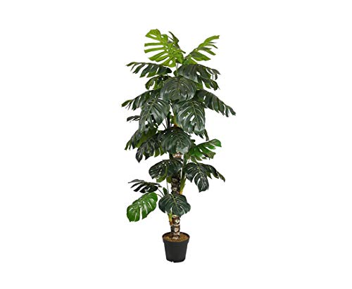 Monstera deliciosa Kunstbaum 160cm mit Topf und 34 Blätter - Künstliches Fensterblatt Philodendron Zimmerpflanze von kunstpflanzen-discount.com