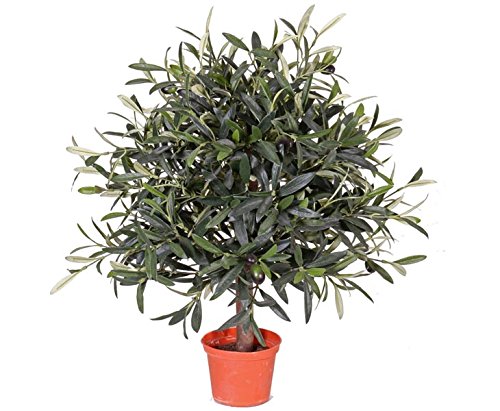 Künstliches Olivenbäumchen 50cm, Durchmesser 35cm, Kunstpflanze mit 1040 Blätter und 18 Oliven - Mini Olivenbaum Oliven Kunstbaum von kunstpflanzen-discount.com