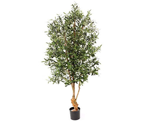 Olivenbaum UV Safe 4160 Blätter 120 Oliven Höhe ca. 170cm - Künstlicher Olivenbaum mit Naturstamm von kunstpflanzen-discount.com