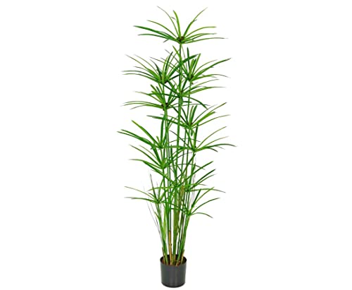 Papyrus Cypern Gras Kunstpflanze mit 13 Stauden Höhe ca. 150cm - Künstliches Zyperngras von kunstpflanzen-discount.com
