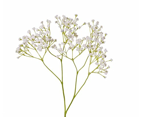 kunstpflanzen-discount.com Künstliches Schleierkraut inkl. Stiel ca. 58cm mit weißen Blüten ca. 40cm breit - Gipskraut Deko Kunstblume blühend von kunstpflanzen-discount.com