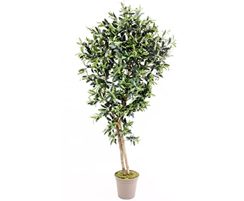 kunstpflanzen-Discount.com Künstlicher Olivenbaum 150cm mit 1536 Textilfaser Blätter und Naturstämme - Oliven Kunstbaum mit Früchten von kunstpflanzen-discount.com