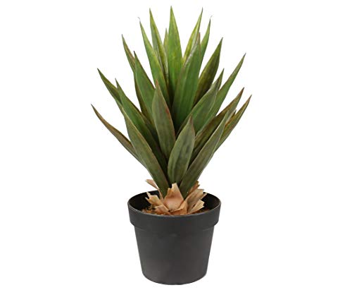 Künstliche Aloe Vera Pflanze mit 31 Blätter ca. 50cm im Topf - Sukkulenten Kunstpflanze Topfpflanze von kunstpflanzen-discount.com