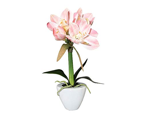 kunstpflanzen-discount.com Amaryllis Kunstblume 37cm mit rosa farbigen Blüten im Keramiktopf von kunstpflanzen-discount.com