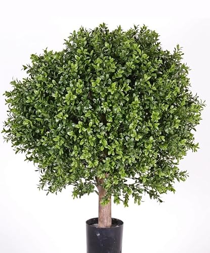 kunstpflanzen-discount.com Buchskugel auf Echtholz Stamm ca. 65cm hoch mit ca. 50 Durchmesser und 1548 Blätter - Buchs Kunstbaum mit Naturstamm von kunstpflanzen-discount.com