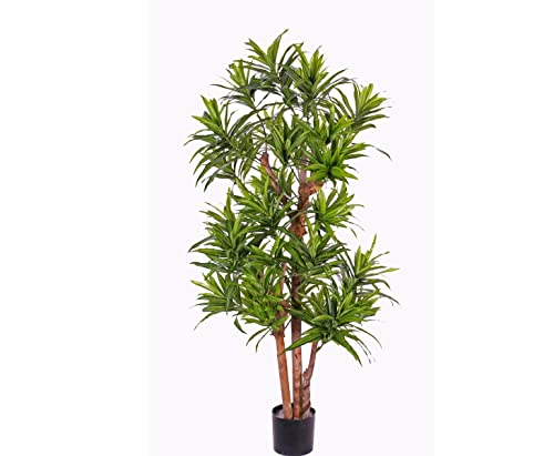 Dracaena Kunstbaum reflexa 120cm mit Mehreren Naturstämmen und 846 Blätter - Künstlicher Drachenbaum Dracena Baum von kunstpflanzen-discount.com