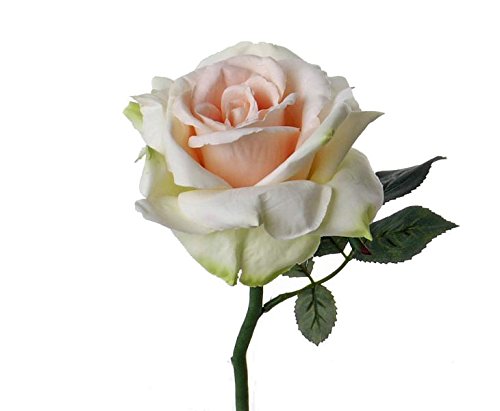 kunstpflanzen-discount.com Feine Kunstrose 31cm mit großer weiß rosa Blüte - Künstliche Rose am Stiel von kunstpflanzen-discount.com