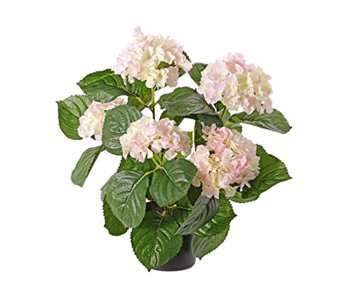 kunstpflanzen-discount.com Hortensien Kunstblume 42cm mit 5 Creme-rosa farbigen Blüten im Topf - Künstliche Hortensien blühend von kunstpflanzen-discount.com